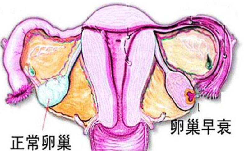 QQ截图20210527144723.jpg