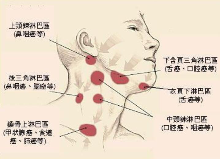 QQ截图20210720165949.jpg