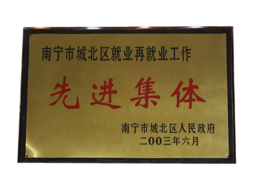 2003年南宁城北区授以就业再就业先进集体奖.png