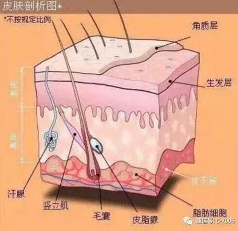 纹绣时如何给不同肤质的人快速上色