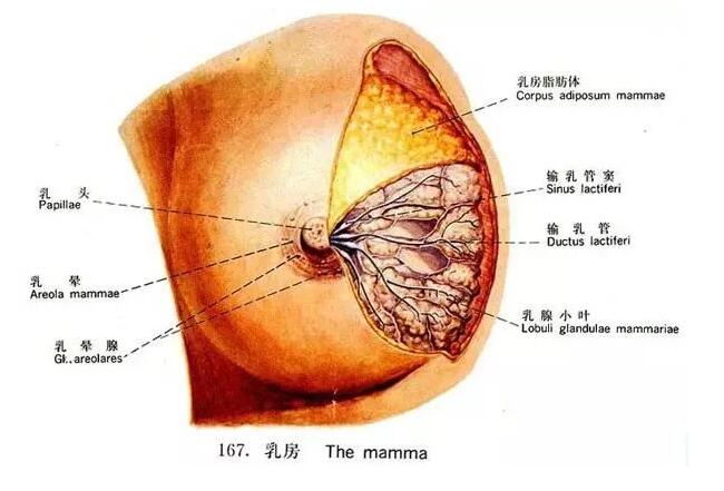 QQ截图20210410141859.jpg