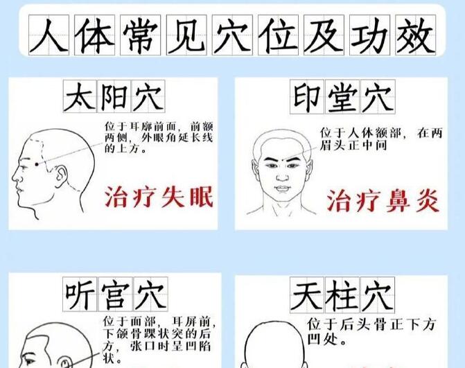 人体常见穴 位及功效，广西专业正规美容学校讲解