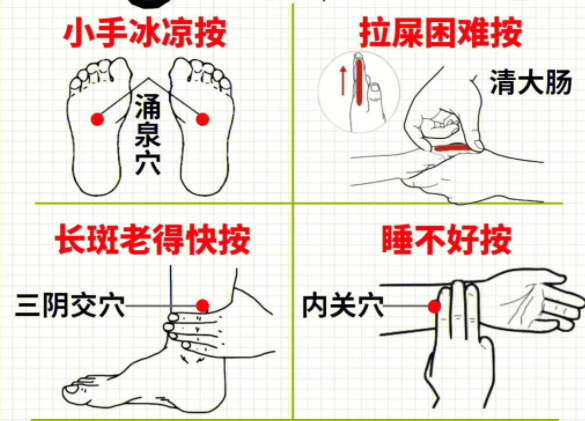 女性如何养生调理 ？南宁中医美容培训分享